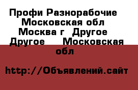Профи Разнорабочие - Московская обл., Москва г. Другое » Другое   . Московская обл.